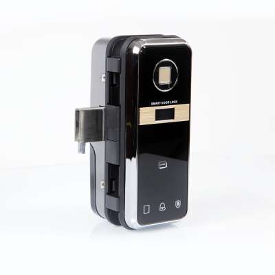 Remote Control Access Control System Smart Door Lock Fingerprint Glass Door Lock A8